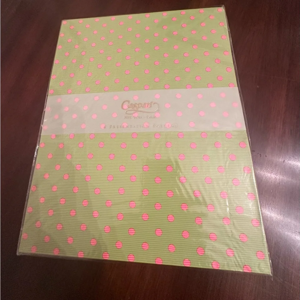 Caspari Polka Dot Presentation Folders Set of Four NEW